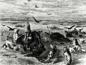 Slaughter of Buffaloes on the Plains, from Harpers Weekly 1872
