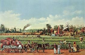 A Cotton Plantation on the Mississippi - the Harvest; engraved by Currier and Ives