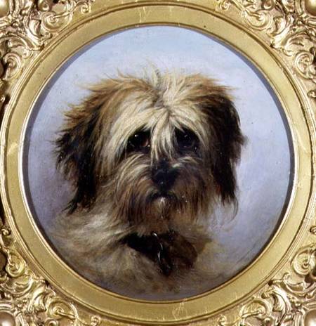 A Head of a Terrier (board) od Agnes Dundas
