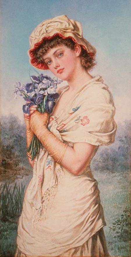 Irises od Agnes Nicholl