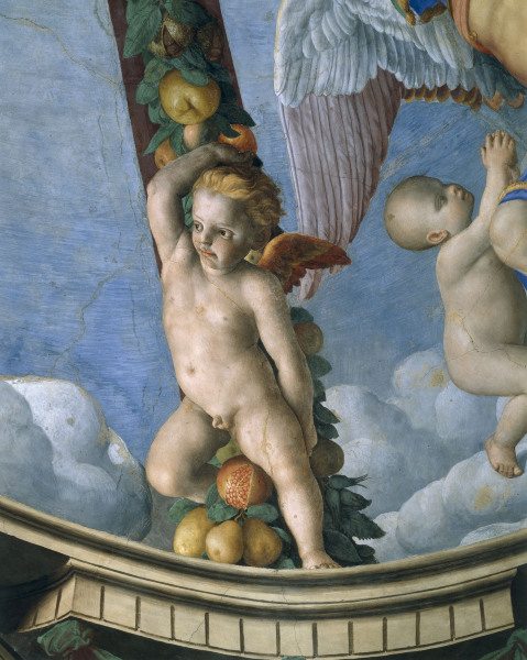 Bronzino, Putto with fruit garland od Agnolo Bronzino