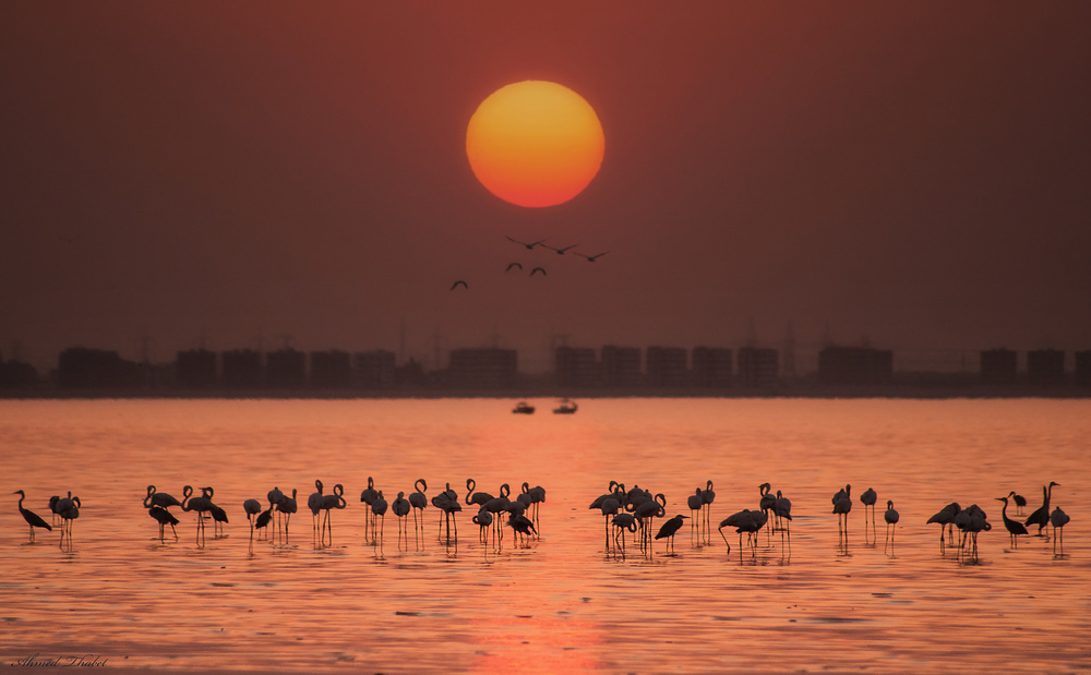 Remarkable sunset od Ahmed Thabet