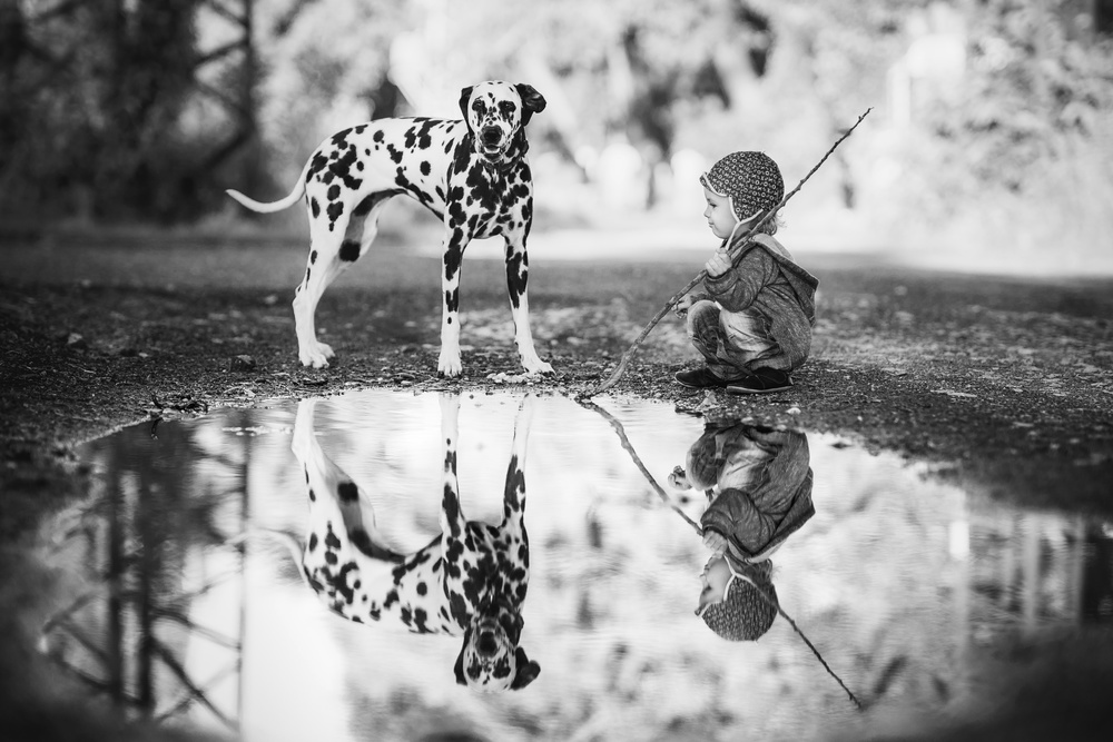 Little boy and dog in the park od Alan Hiller