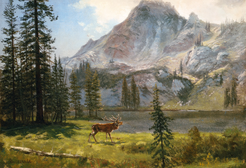 Call of the Wild od Albert Bierstadt