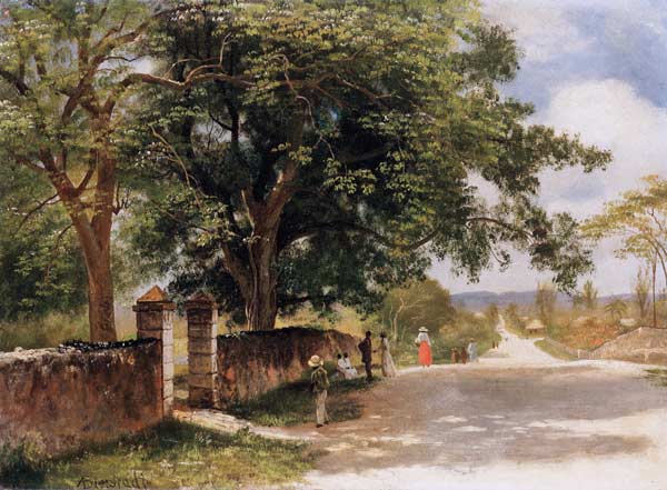 Straßeansicht in Nassau od Albert Bierstadt