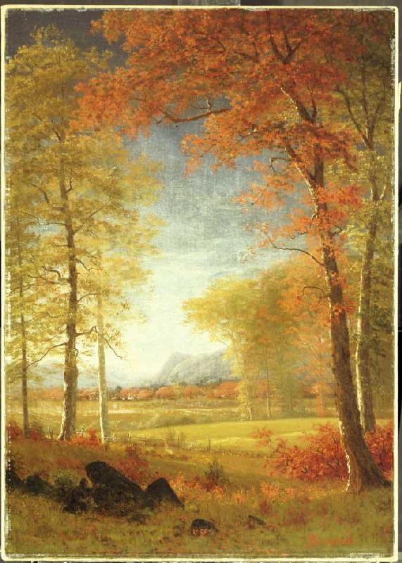 Herbst in Oneida County, New York. od Albert Bierstadt