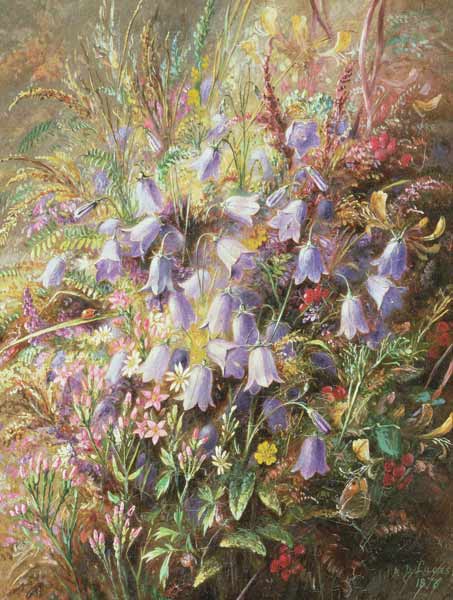 Harebells & other Woodland Flowers & Grasses od Albert Durer Lucas