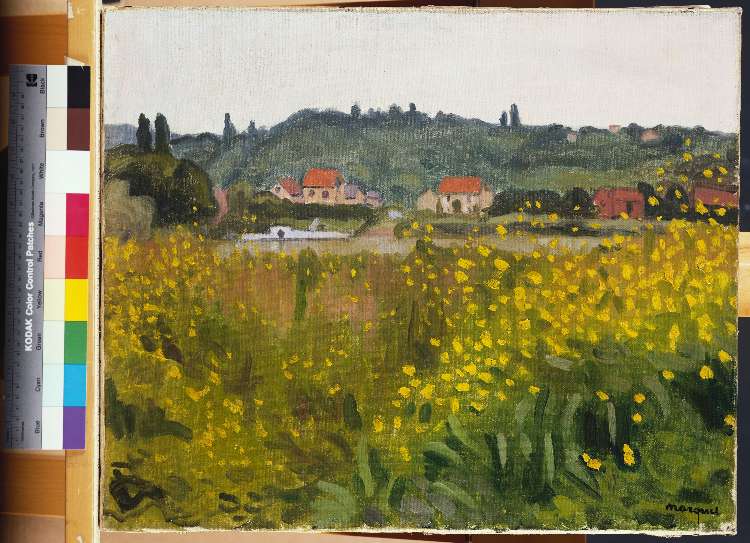 Gelbe Blumenwiese in Villenes (Les Fleurs Jaunes a Villenes) od Albert Marquet