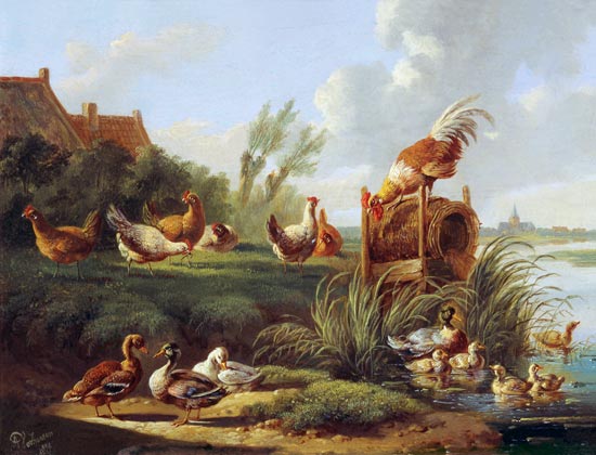 Ducks and Fowl on a Riverbank od Albertus Verhoesen