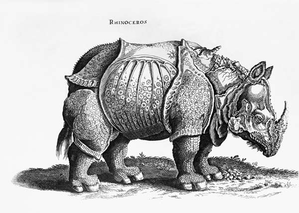 Rhinoceros, no.76 from ''Historia Animalium'' Conrad Gesner (1516-65) published in July 1815 od Albrecht Dürer