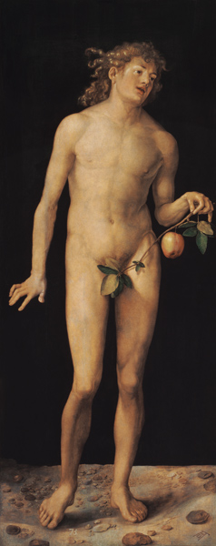 Adam od Albrecht Dürer