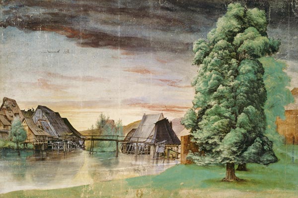 The pasture mill od Albrecht Dürer