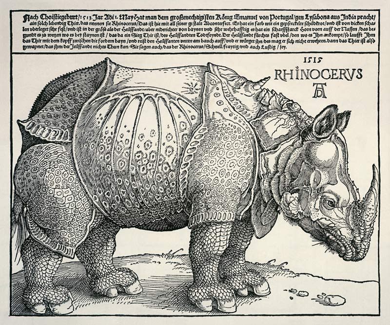 Rhinozeros od Albrecht Dürer