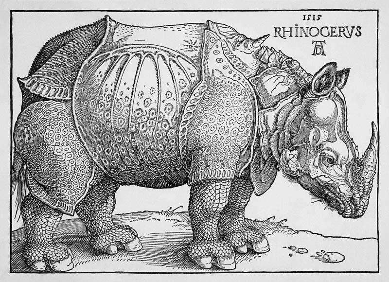 Nashorn - Variation ohne Text in Schwarzweiß od Albrecht Dürer