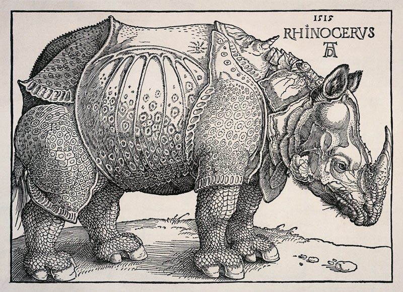 Nashorn - Variation ohne Text od Albrecht Dürer