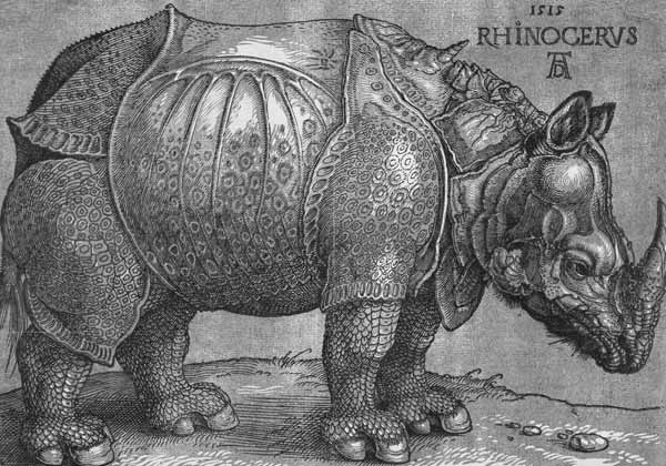 The Rhinoceros od Albrecht Dürer
