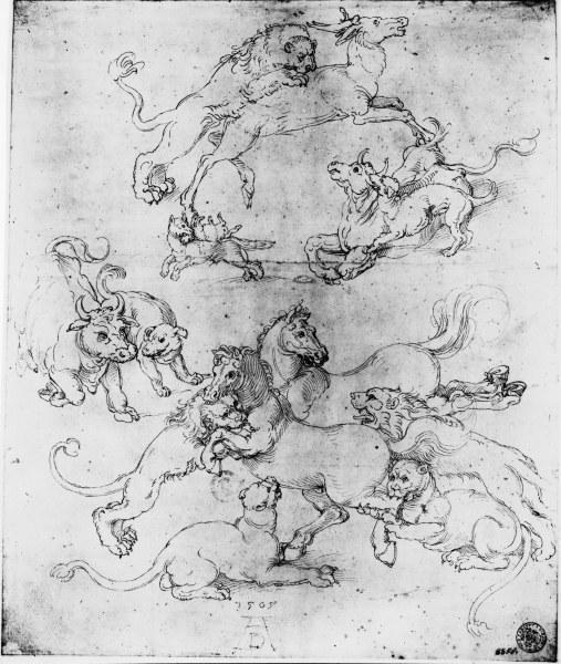 A.Dürer, Study of Attacked Animals/1505 od Albrecht Dürer