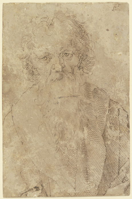 Bearded old man od Albrecht Dürer