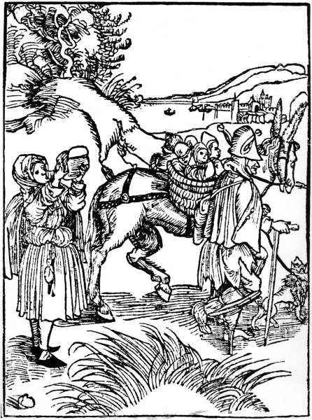 Brant / Ship of Fools / Woodcut / Dürer od Albrecht Dürer