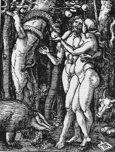 Dürer, Adam and Eve / Small Passion od Albrecht Dürer