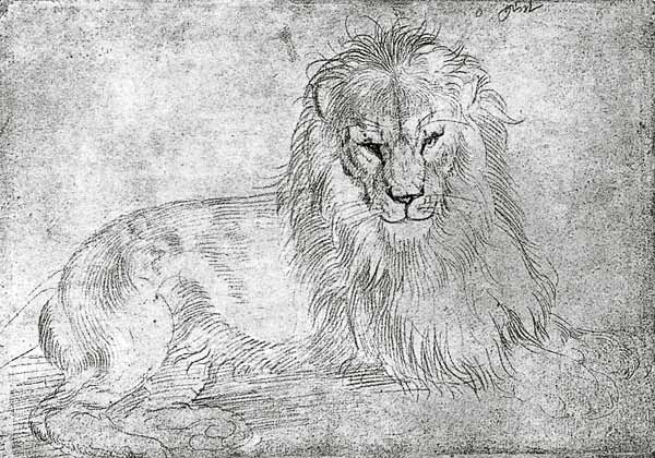 Liegender Loewe od Albrecht Dürer