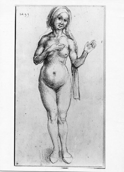 Naked Woman / Dürer / 1493 od Albrecht Dürer