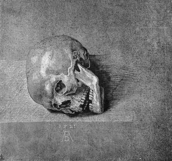 A.Dürer, Skull / Draw./ 1521 od Albrecht Dürer
