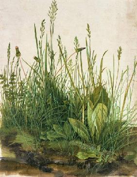 Great piece of turf - study of weeds - Albrecht Dürer