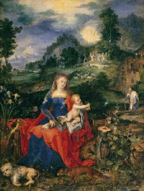 Mary with many animals , Brueghel
