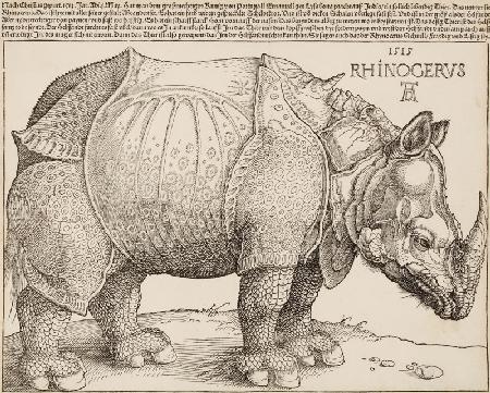 Rhinocerus (Das Rhinozeros)
