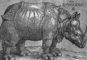 The Rhinoceros