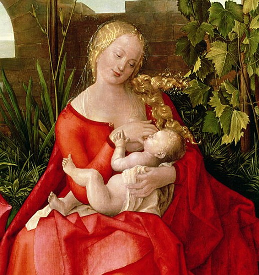 Virgin and Child ''Madonna with the Iris'', 1508 (detail of 22578) od Albrecht Dürer