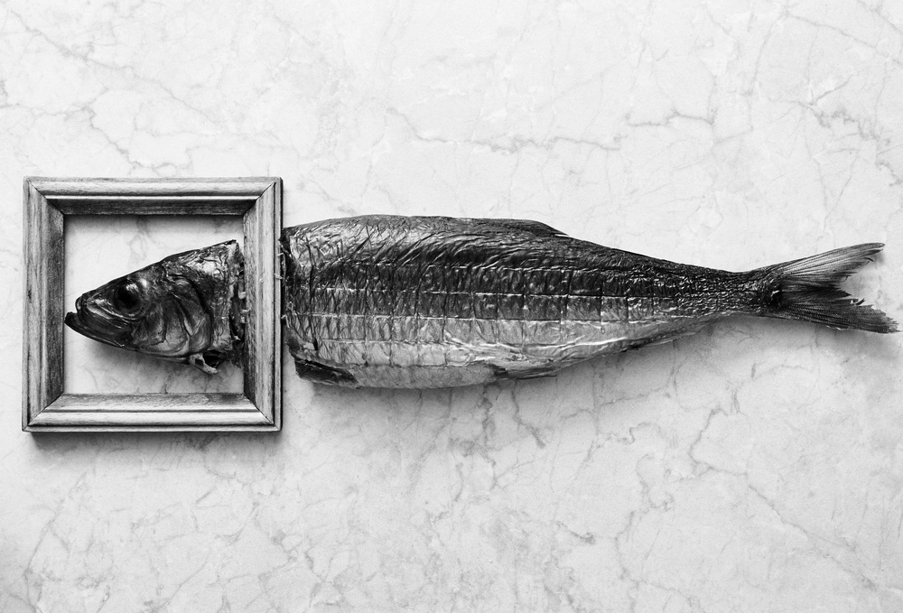Fish portrait od Aleksandrova Karina