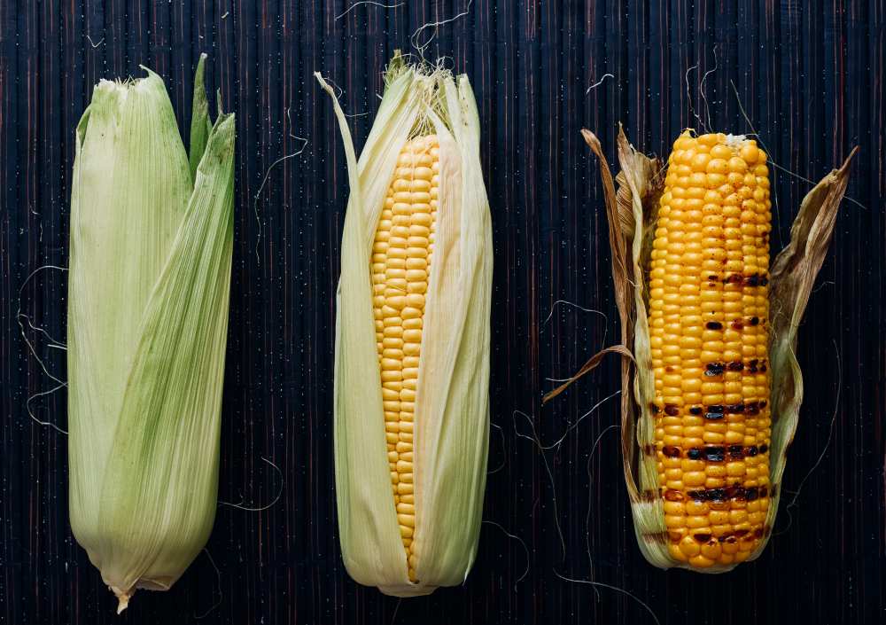 FOODprocess #1- Grilled corn od Aleksandrova Karina
