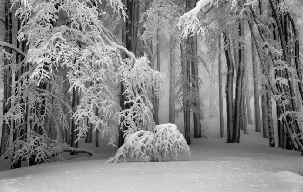 Perfect Winter od Aleš Klabus