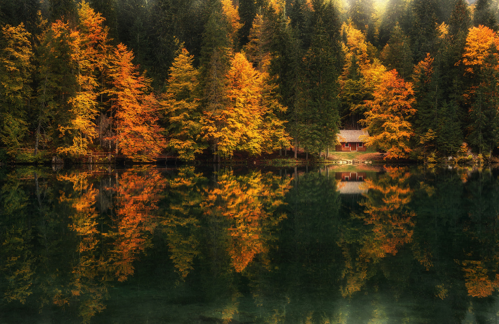 Autumn impressions od Ales Krivec