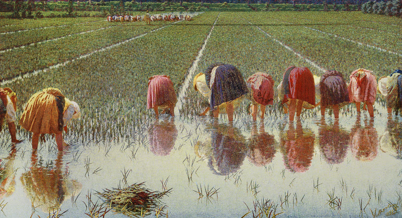 For eighty cents (work in the paddy-field) od Alessandro Morbelli