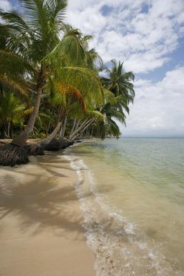 Bocas del Toro od Alex Bramwell