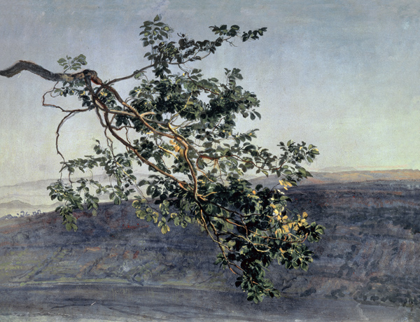 A branch od Alexander Andrejewitsch Iwanow