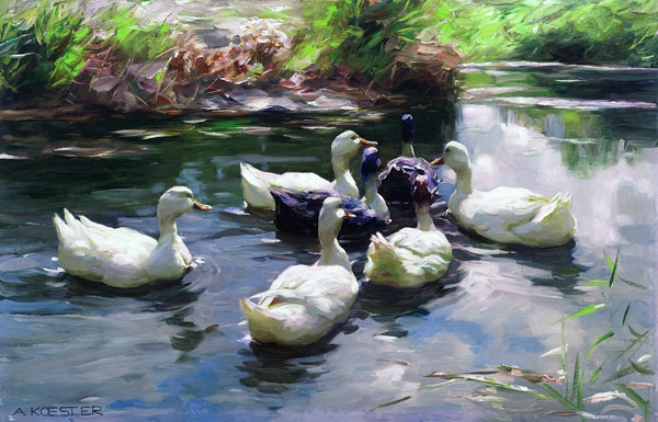 Ducks in a Pond od Alexander Koester