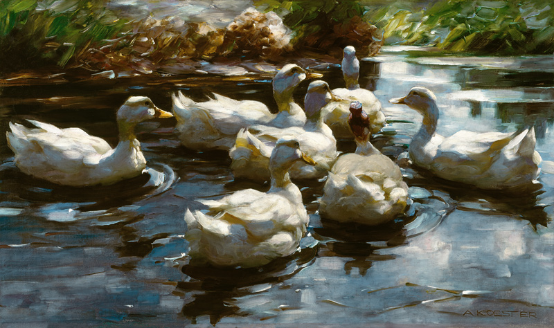 Ducks in the pond od Alexander Koester