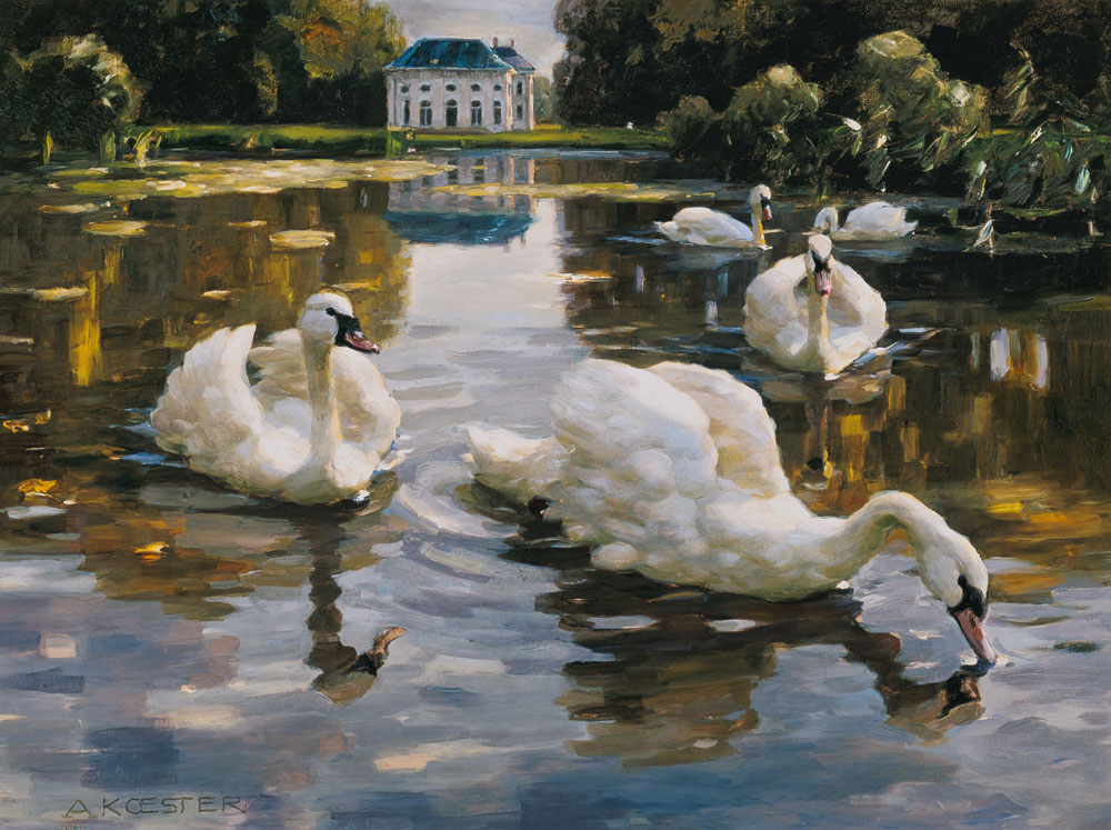 Swans in the Nymphenburger castle grounds od Alexander Koester