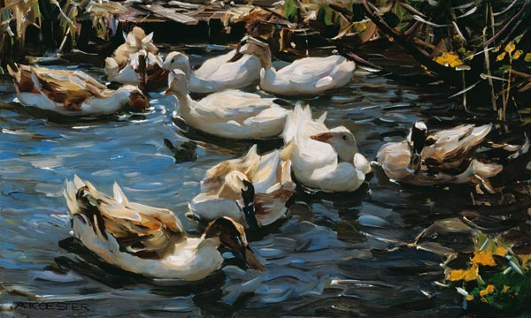 Nine ducks in the early spring od Alexander Koester