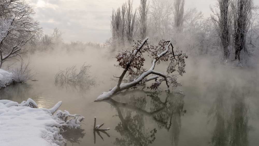 Fog over the water od Alexander Plekhanov