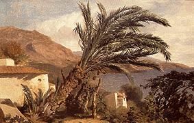 Palms at the Riviera. od Alexandre Calame