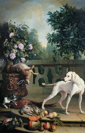 Animals, flowers and fruits