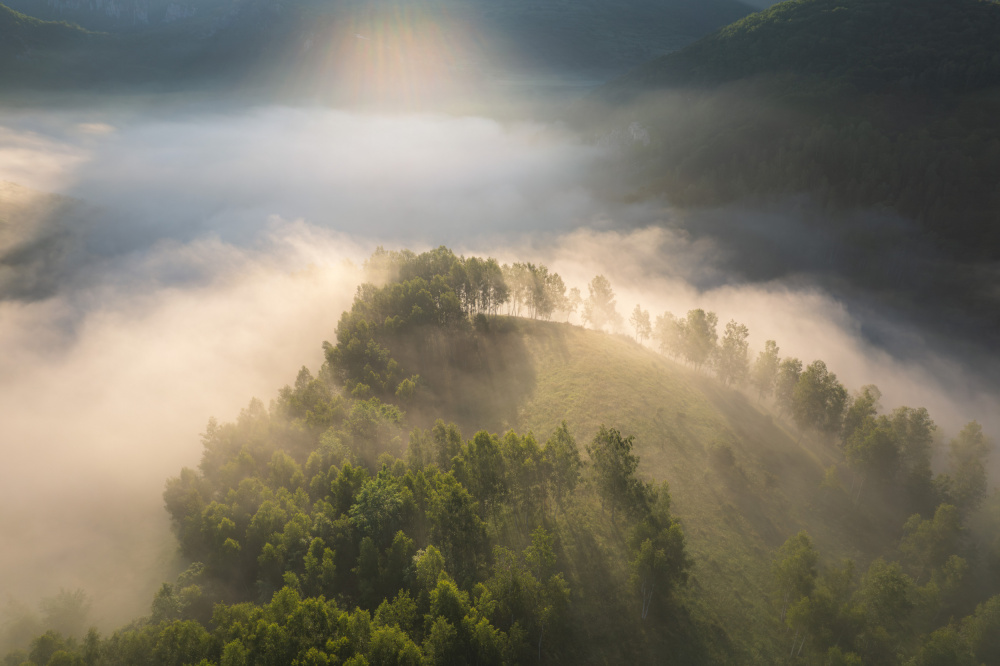Above the foggy forest od Alexandru Ionut Coman