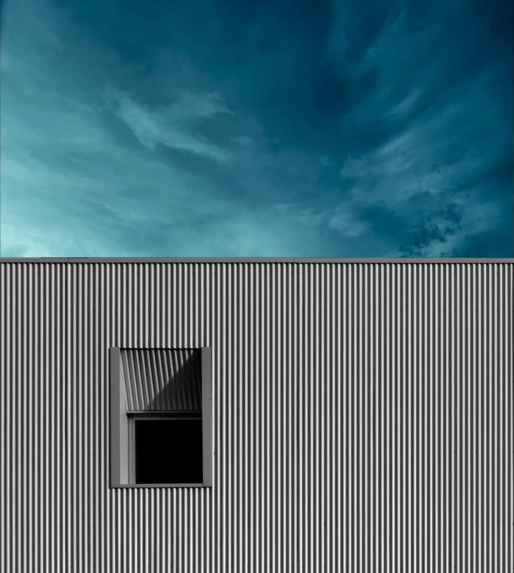 The Window od Alfonso Novillo