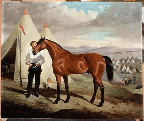 Sir Briggs, horse of Lord Tredegar (1831-1913) of the 17th Lancers, in Camp in Crimea 1854, 1856 (oi od Alfred de Prades