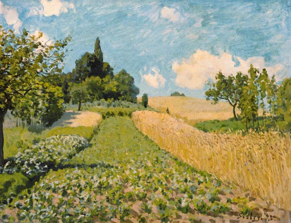 Summer landscape with fields od Alfred Sisley
